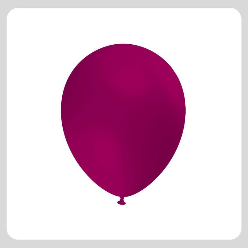 Palloncini Professionali 14''