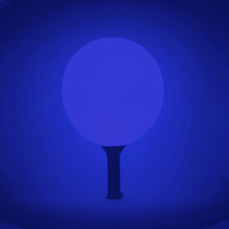 Maracaloon led